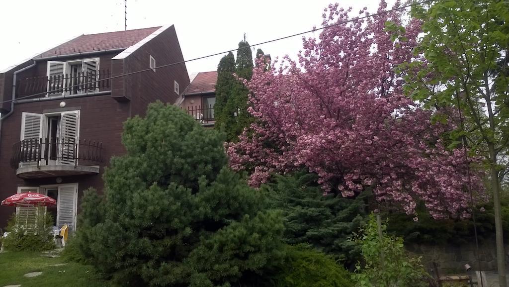 Guest house Cola Panzio Szentendre