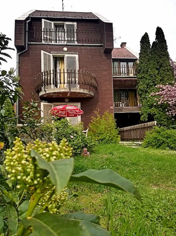 Cola Panzio